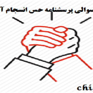 پرسشنامه-حس-انسجام-آنتونووسکی-13-سوالی