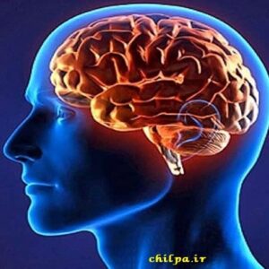 پاورپوینت ساختمان چشم ، گوش ، مغز