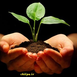 تحقیق نقش گیاهان در زندگی انسان ها