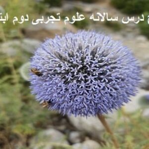 طرح درس سالانه علوم تجربی دوم ابتدایی