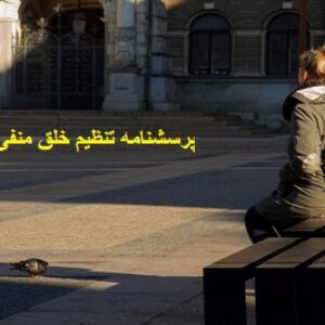 پرسشنامه تنظیم خلق منفی