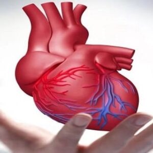 پاورپوینت درباره بیماری های مادرزادی قلب